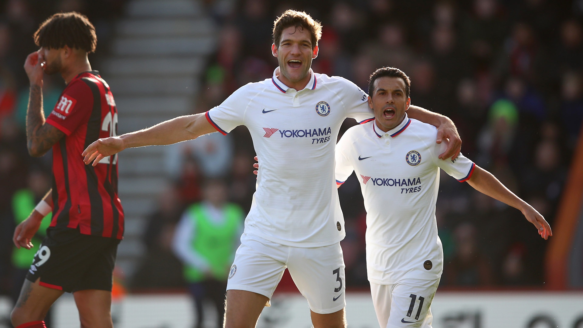 仅考验了参 仅考验了参